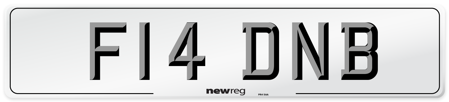 F14 DNB Number Plate from New Reg